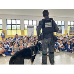 Polícia Civil comemora 13 anos de atuação do Núcleo de Operações com Cães